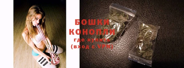 сатива Ельня