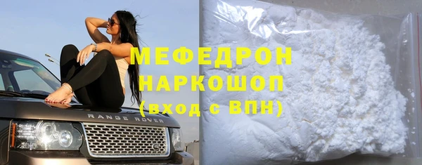 сатива Ельня