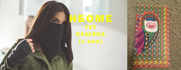 сатива Ельня