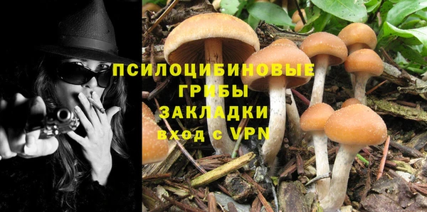 сатива Ельня
