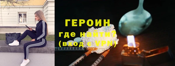 сатива Ельня
