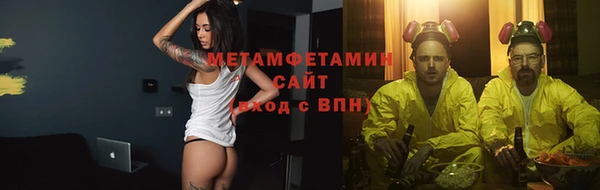 сатива Ельня
