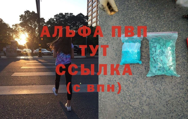 сатива Ельня