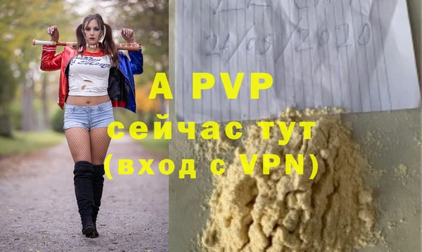 сатива Ельня