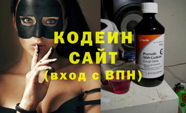 сатива Ельня