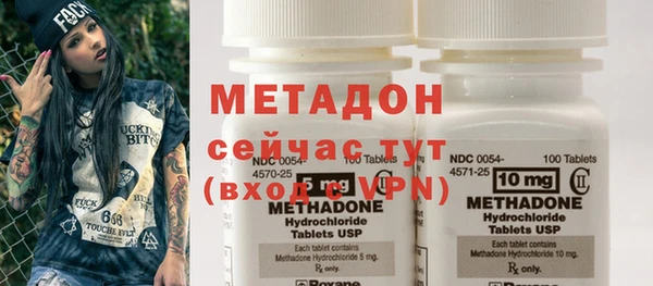 сатива Ельня