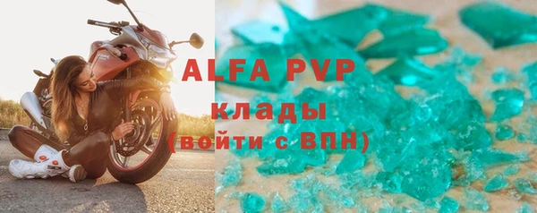 сатива Ельня