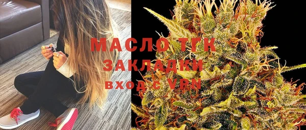 сатива Ельня